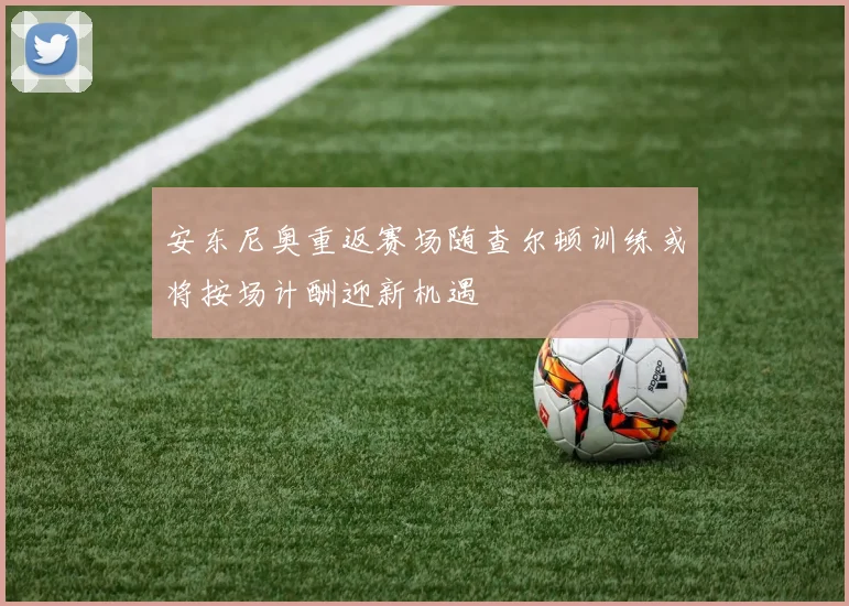 安东尼奥重返赛场随查尔顿训练或将按场计酬迎新机遇
