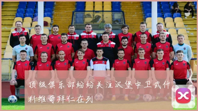 顶级俱乐部纷纷关注汉堡中卫武什科维奇拜仁在列