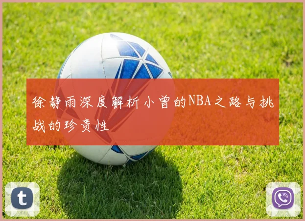 徐静雨深度解析小曾的NBA之路与挑战的珍贵性