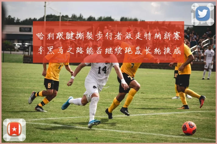 哈利跟腱撕裂步行者放走特纳新赛季黑马之路能否继续跑轰长轮换成关键