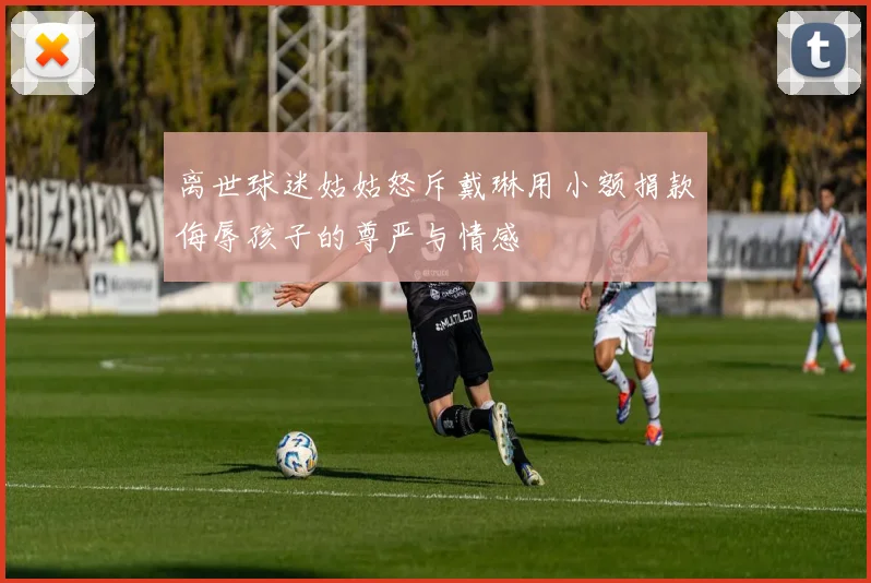 离世球迷姑姑怒斥戴琳用小额捐款侮辱孩子的尊严与情感