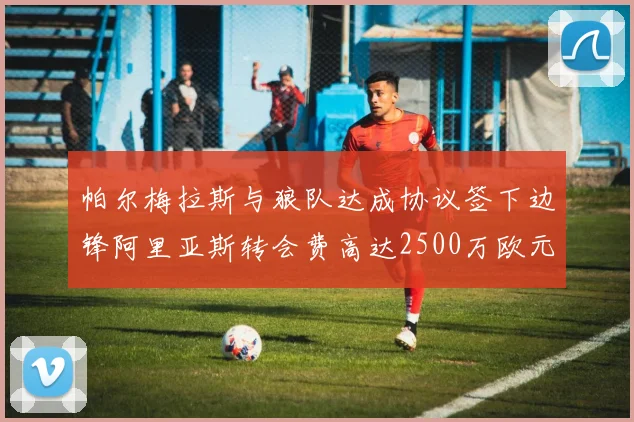 帕尔梅拉斯与狼队达成协议签下边锋阿里亚斯转会费高达2500万欧元
